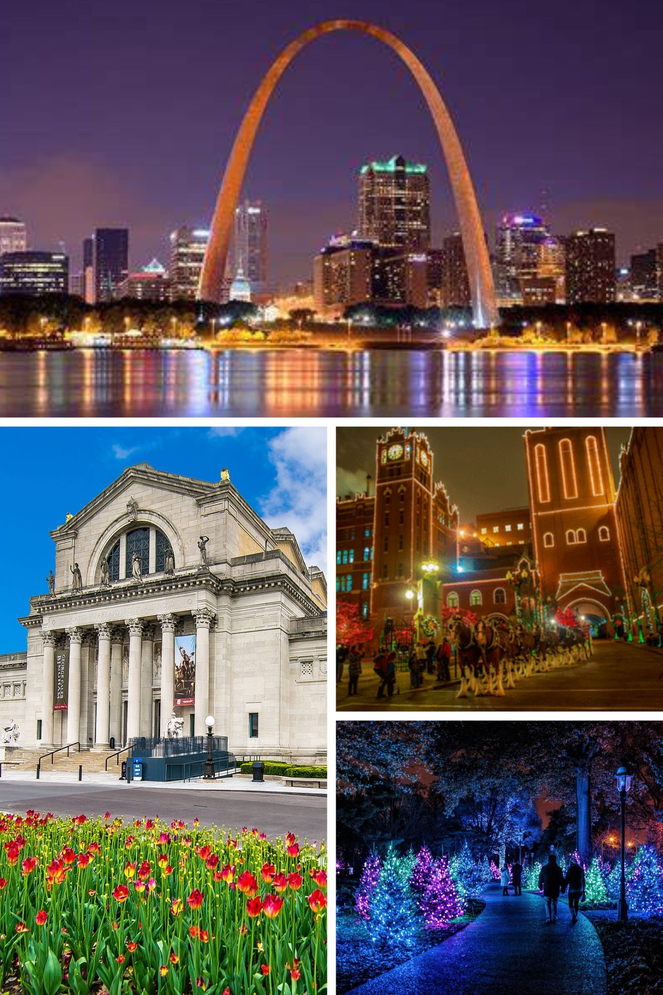 St. Louis Collage